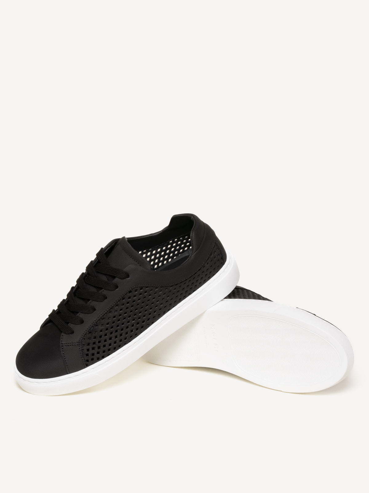 The Palestra Lattice