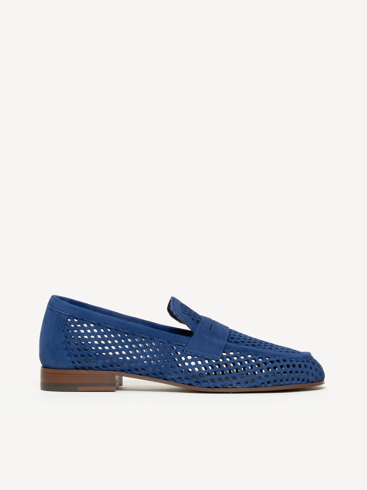 The Sacca Donna Lattice