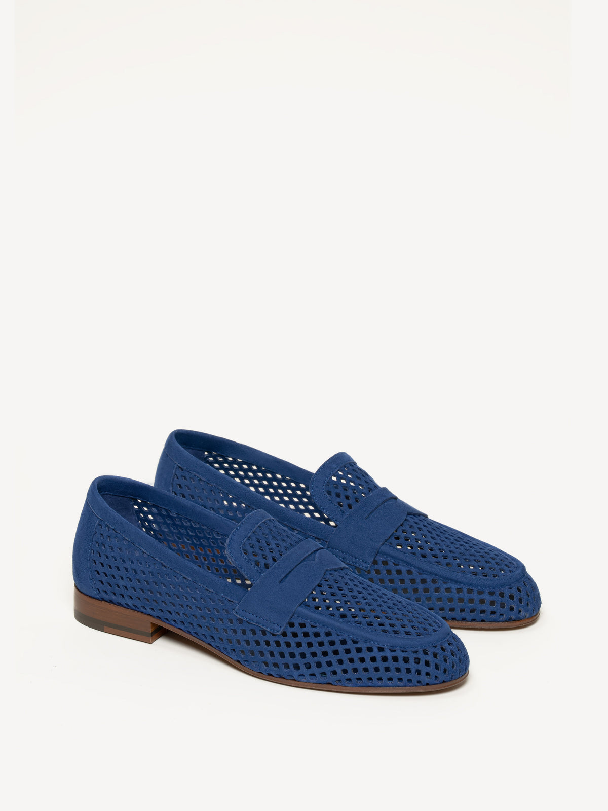 The Sacca Donna Lattice
