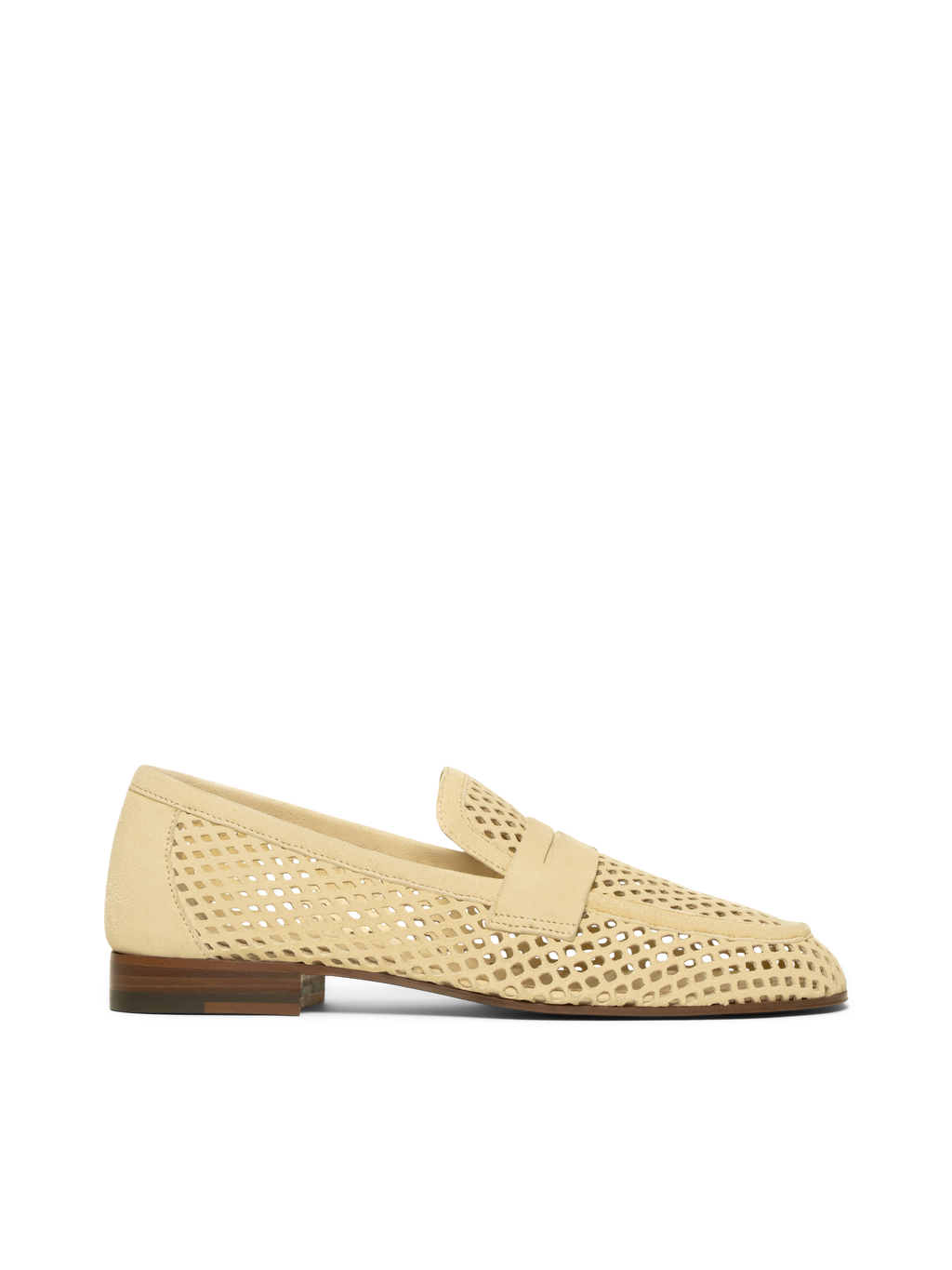 The Sacca Donna Lattice