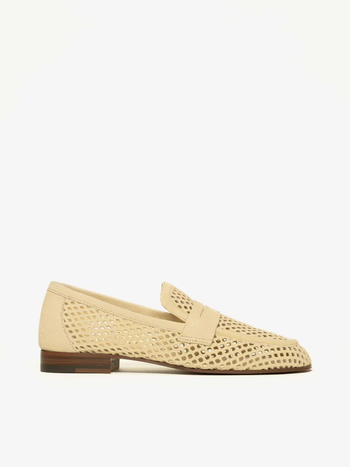 The Sacca Donna Lattice