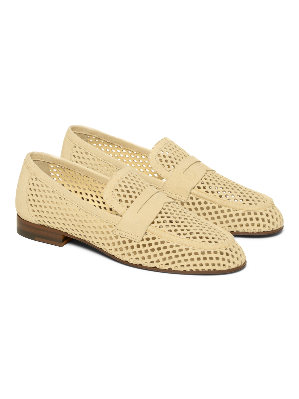 The Sacca Donna Lattice