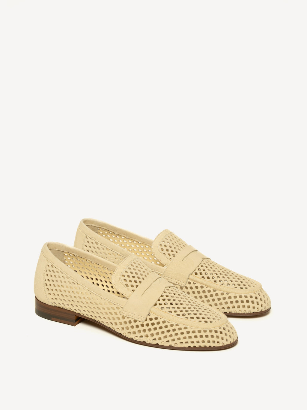 The Sacca Donna Lattice