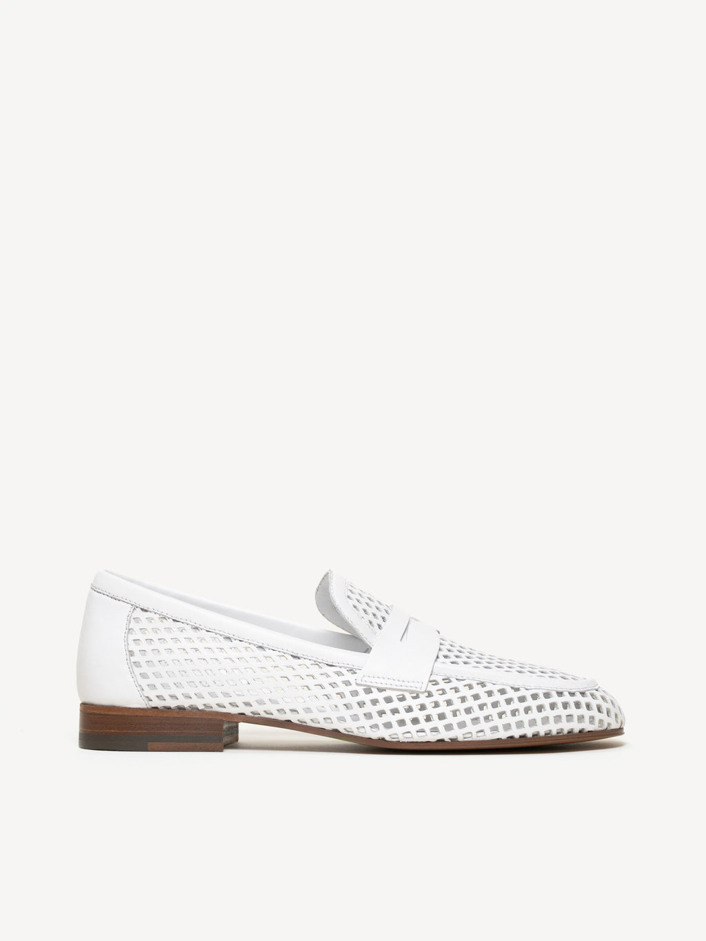 The Sacca Donna Lattice