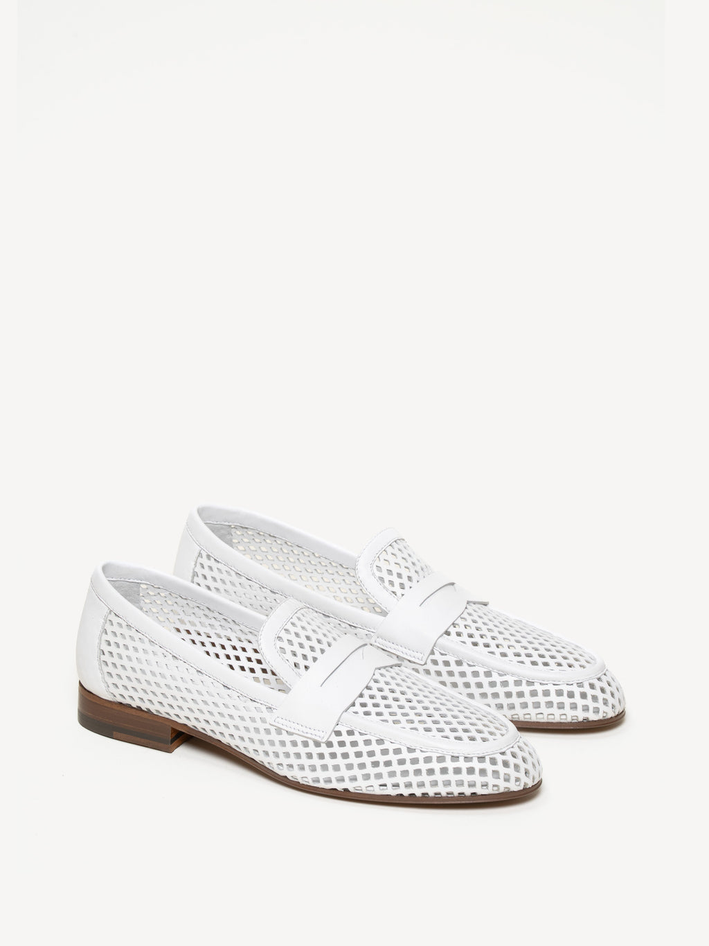 The Sacca Donna Lattice