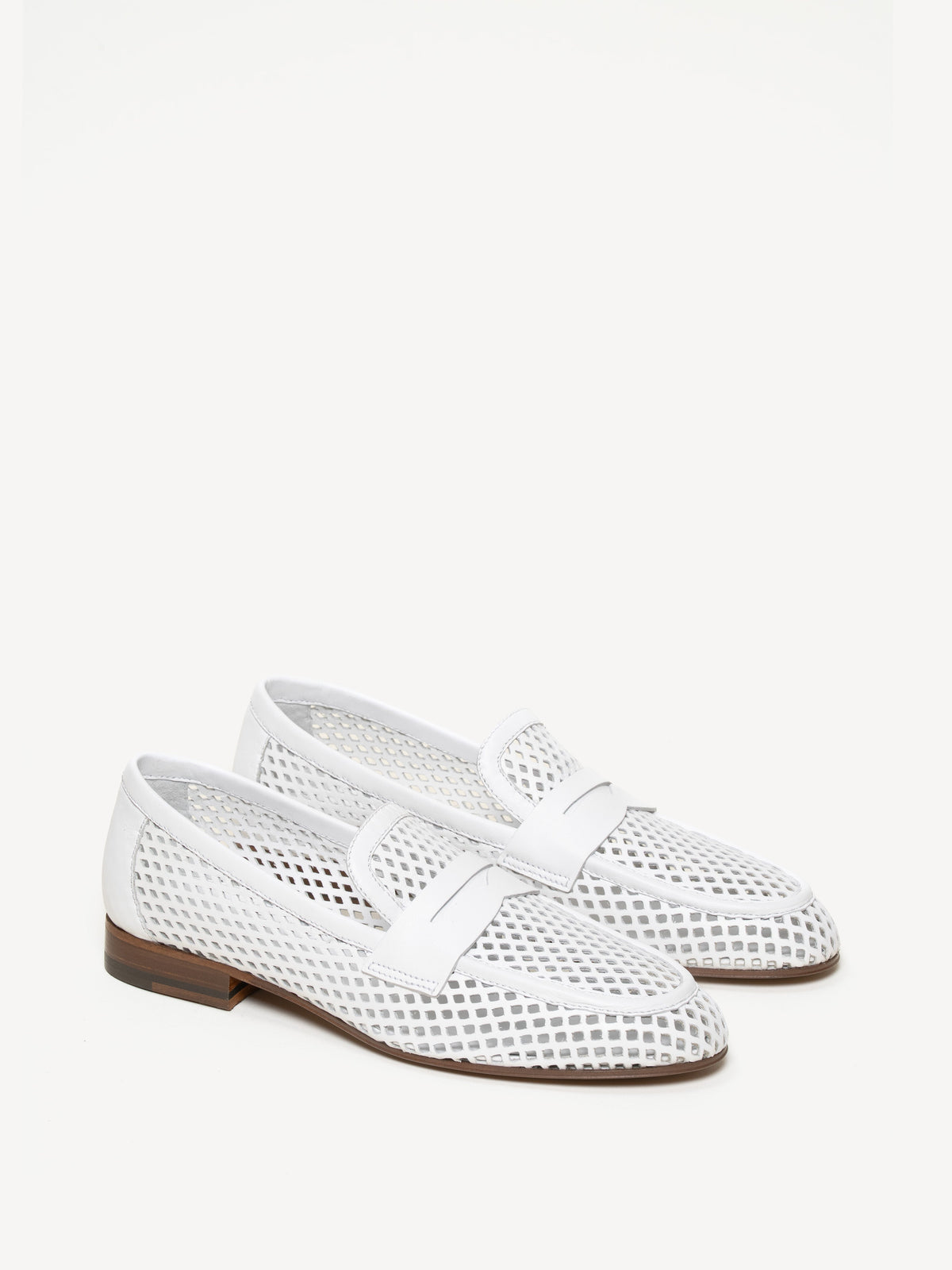 The Sacca Donna Lattice