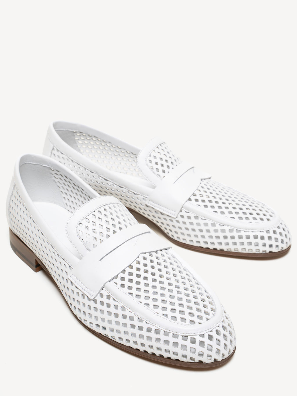 The Sacca Donna Lattice