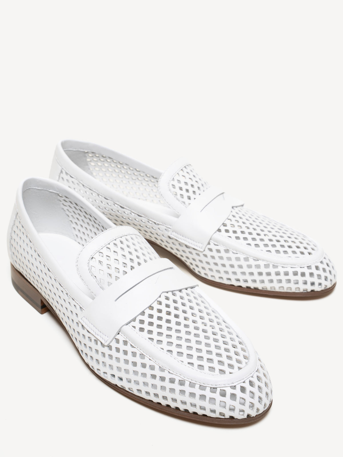 The Sacca Donna Lattice