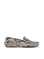 The Felize Python