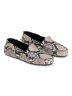 The Felize Python
